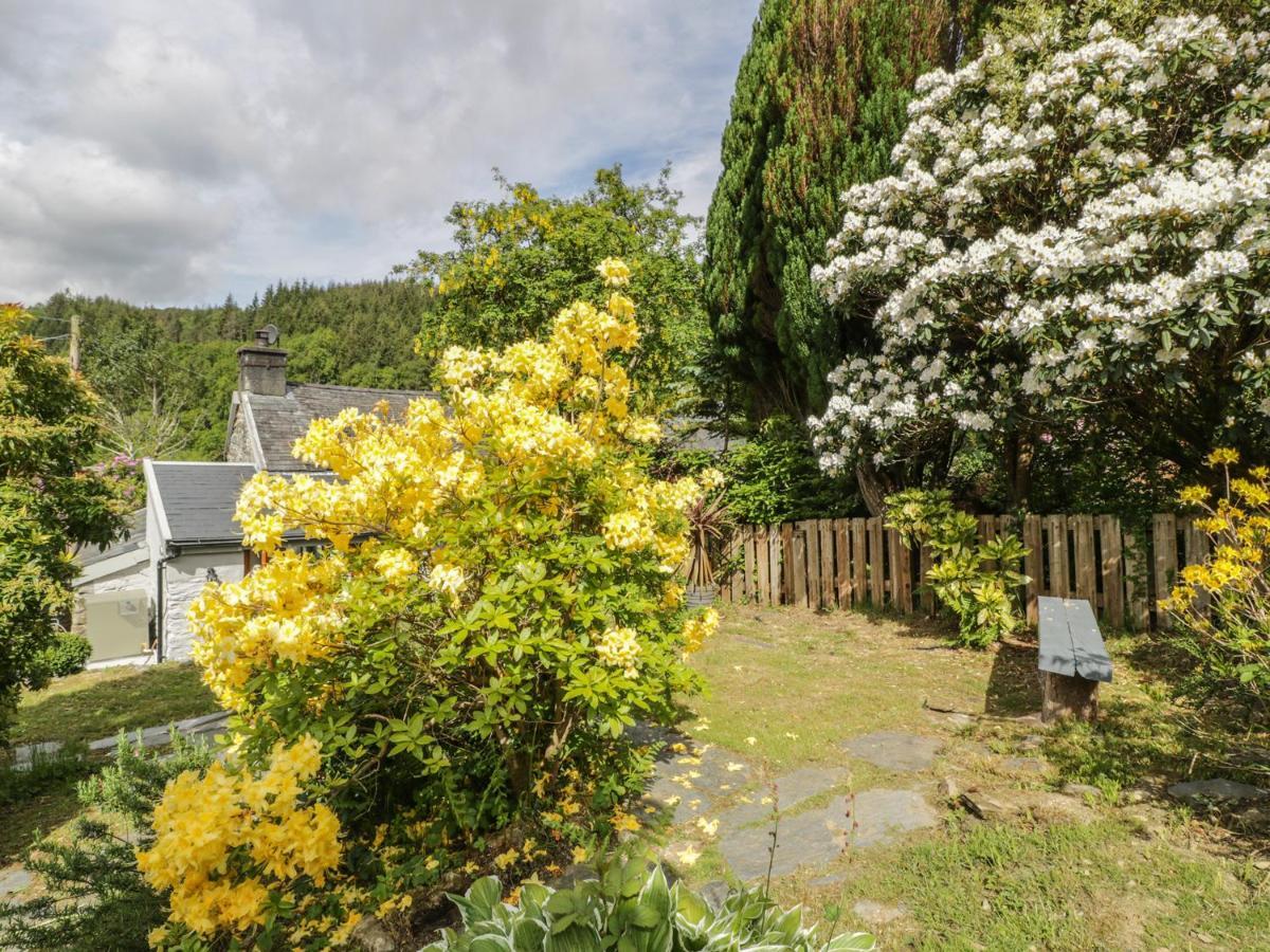 Bron Olau Villa Gellilydan Buitenkant foto